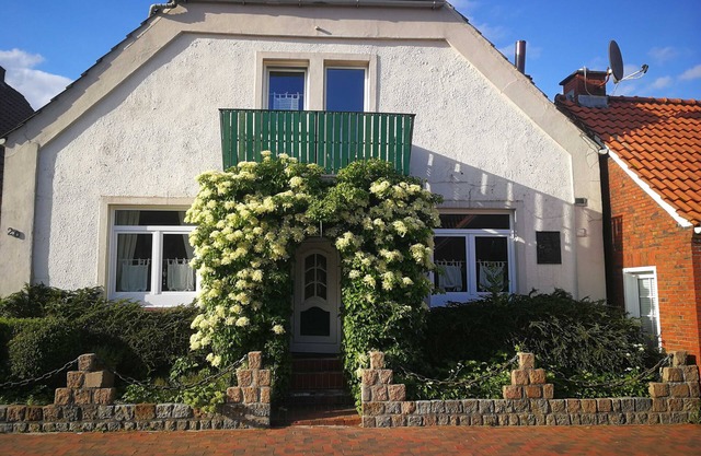 Apartment in Huus Jonte, 45239 - Huus Jonte - Apartment