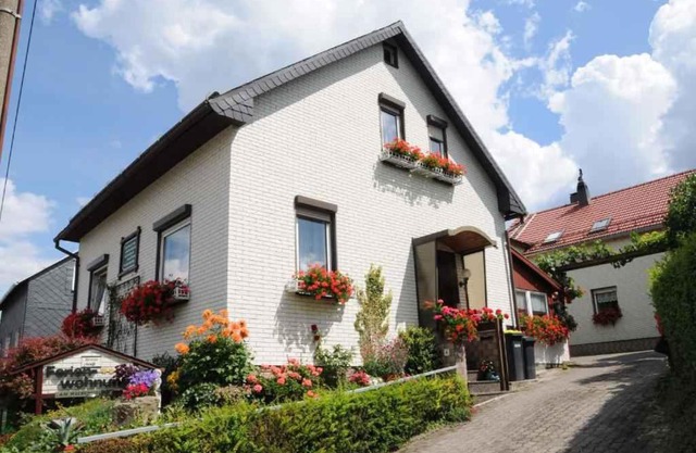 Apartment in Ilmenau 42915