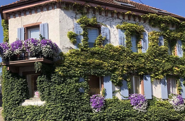Apartment in Oberrotweil