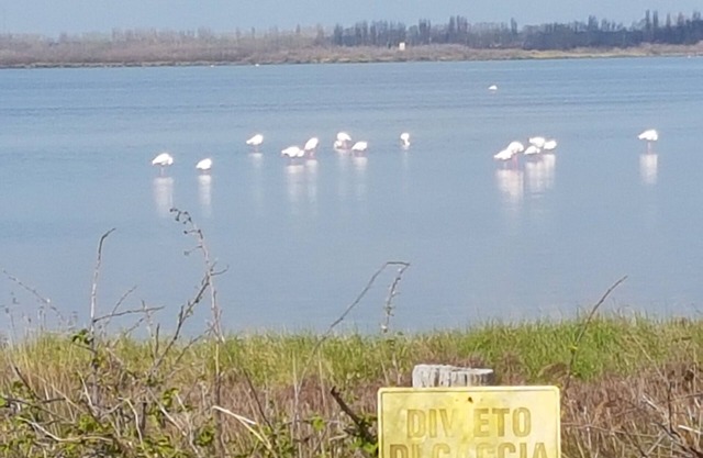 Apartment in the countryside ideal for excursions Po Delta/Venice/Ravenna