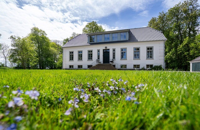 Apartment in the mansion