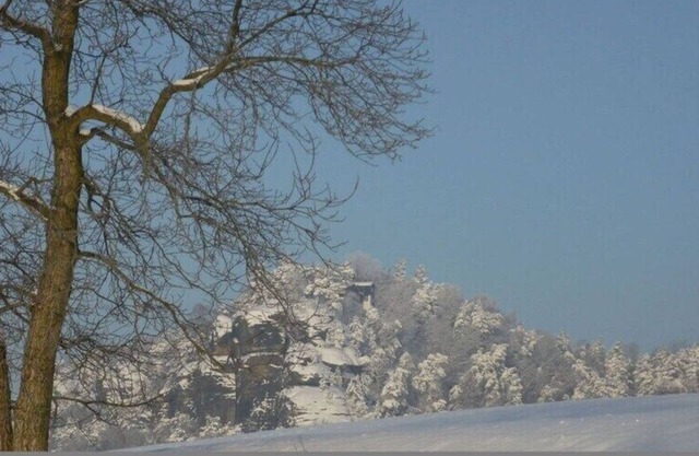 Apartment in the Saxon Switzerland region