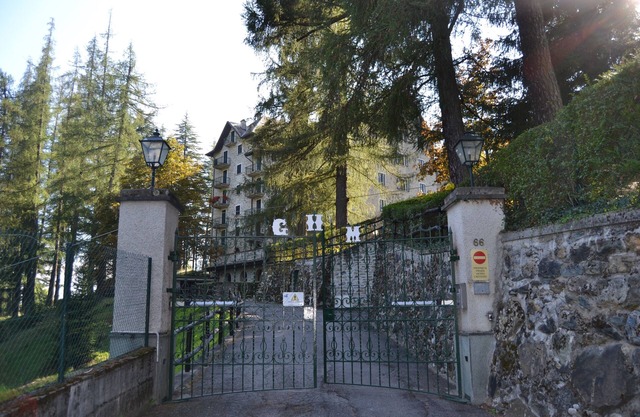 Apartment surrounded by greenery next to the pine forest - relaxation and comfort