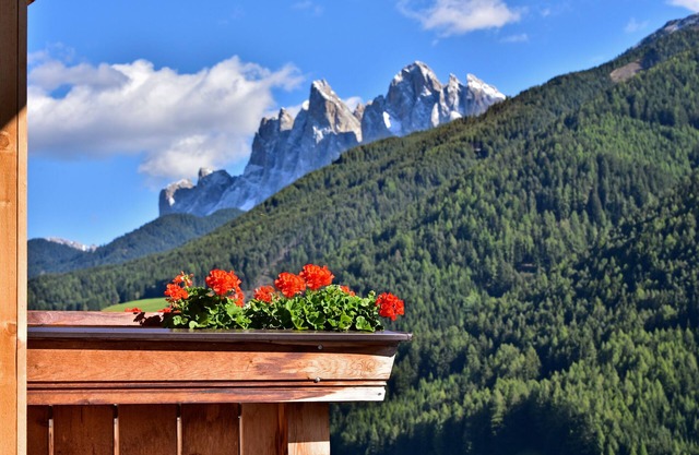 Apartment 'Jaiterhof Reinhold Messner' with Mountain View, Shared Garden and Wi-Fi