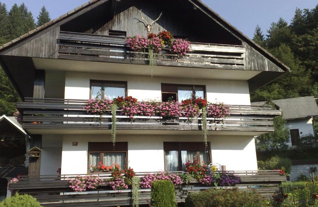 Apartment KLEMEN