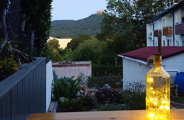 Apartment "Liana" with view to the castle