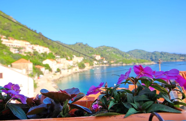 Apartment Mambo , Mljet - Duplex Apartment with Terrace and Sea View
