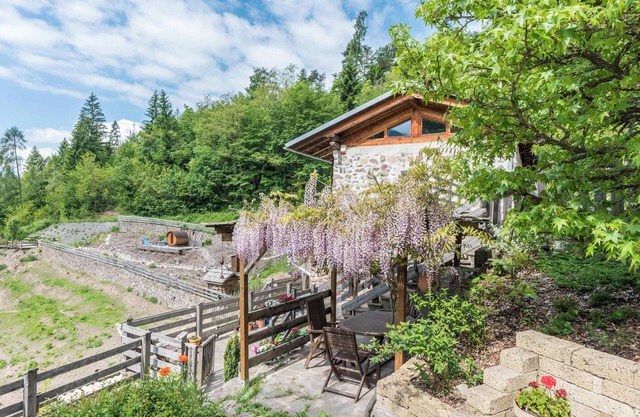 Apartment Maso La Marianna with Mountain View, Wi-Fi & Garden