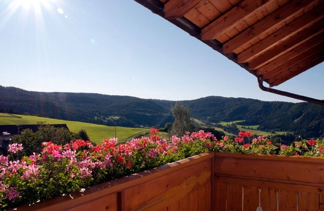 Apartment "Mölten" with Mountain View, Wi-Fi, Balcony & Garden