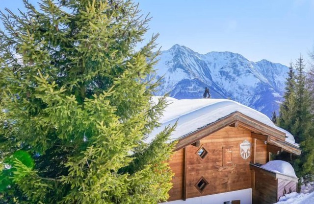 Apartment Mossegor OG in Bettmeralp - 9 persons, 4 bedrooms
