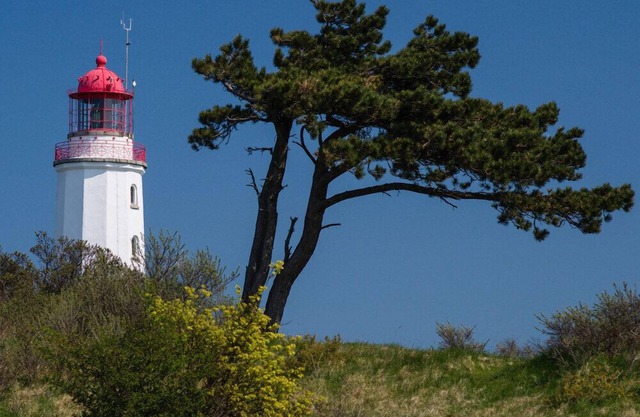 Apartment near the beach, 3 bedrooms, sauna, 2 bathrooms, approx. 130 m², free W-Lan