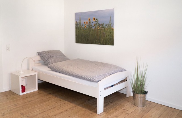 Apartment near Europapark and Black Forest
