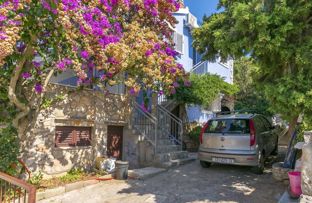 Apartment Nikola