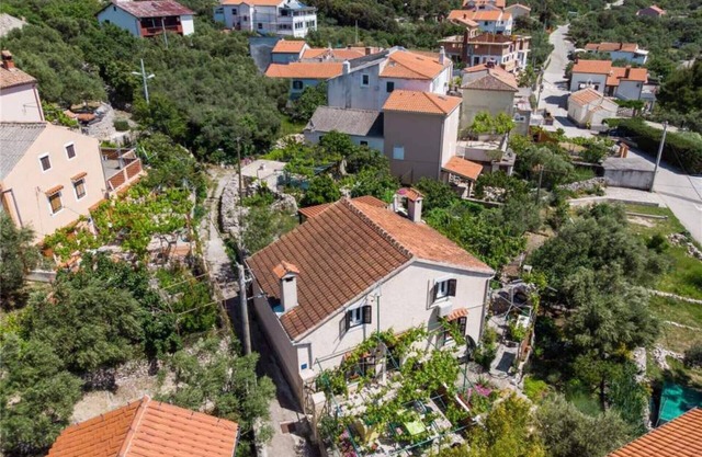 Apartment Nona 1, rustic apartment in village Miholascica, island Cres