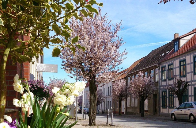 Apartment Notzel
