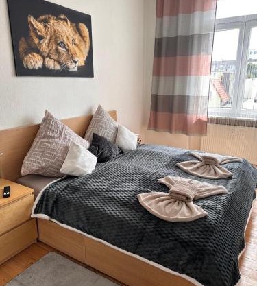 Apartment on Elbe bike path