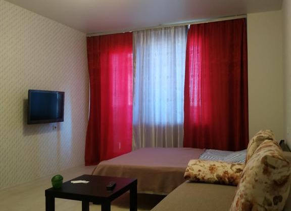 Apartment on Kollontay 5/1