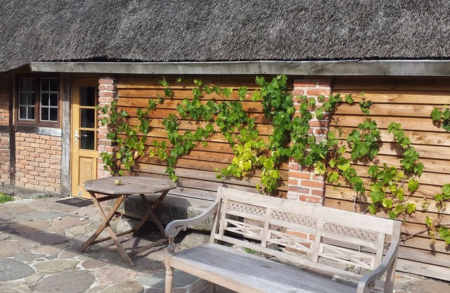 Apartment on the Baltic Sea in the beautiful Leonora forest