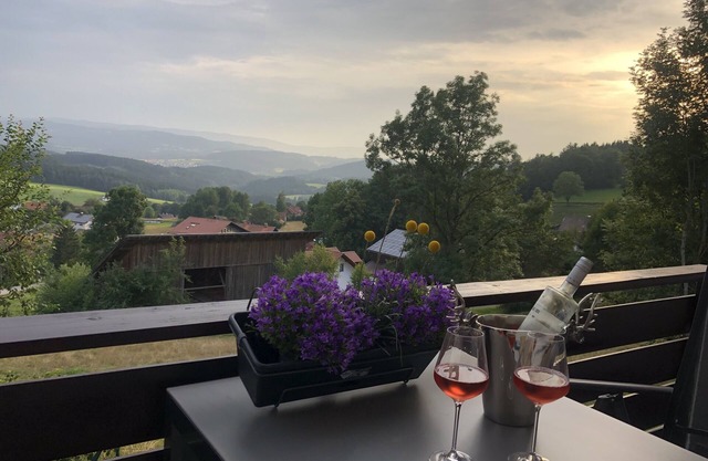 Apartment Panoramablick 1 mit Großem Balkon und Toller Aussicht