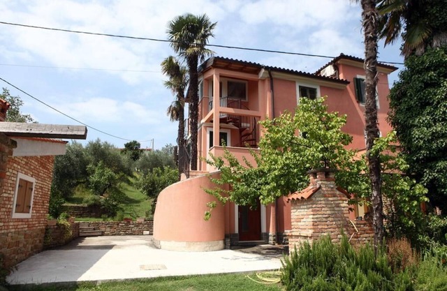 Apartment Roxor