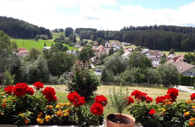 Apartment Rosi's Sonnenbichl in the beautiful Lower Allgäu with stunning views