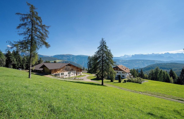 Apartment 'Stücklhof Wohnung Edelweiss' with Mountain View