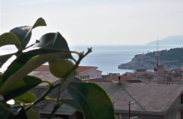 Apartment Sini - with parking : A1 (4) - Makarska, Riviera Makarska, Croatia