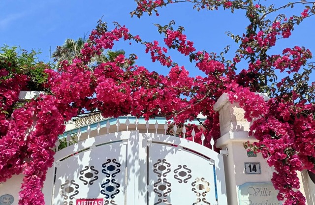 Apartment sleeps 4 in a villa 100m from the sandy sea