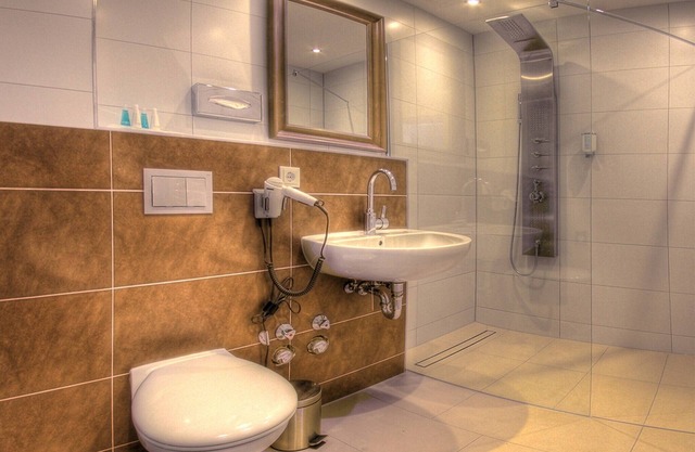 Apartment-Superior-Private Bathroom-Balcony