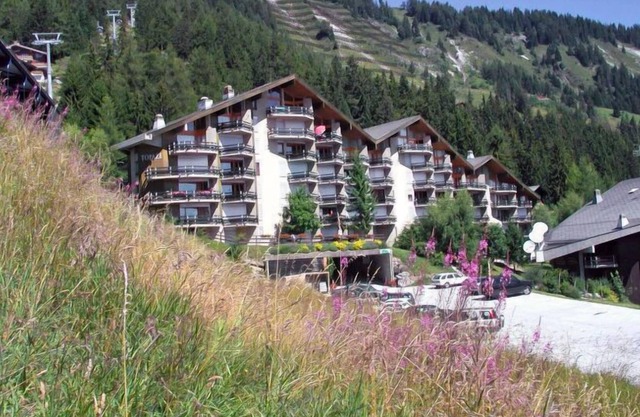 Apartment Topaze in Anzère - 2 persons, 1 bedrooms