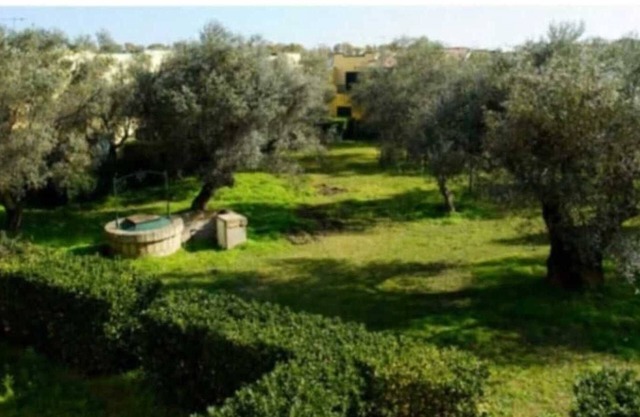 Apartment 'Tra Ulivi E Mare' with Shared Garden, Wi-Fi and Air Conditioning