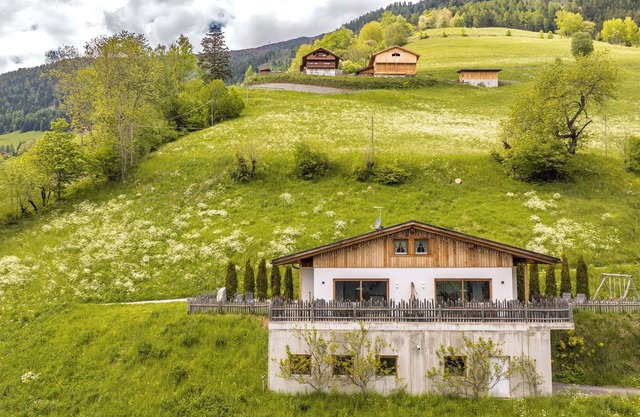 Apartment 'Tratterhof Apt Eidechsspitze' with Mountain View, Private Terrace and Wi-Fi