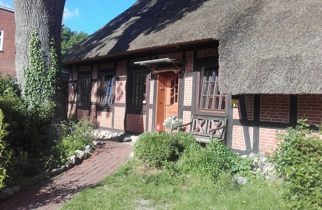 Apartment-under-thatch
