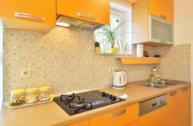 Apartment Vicko