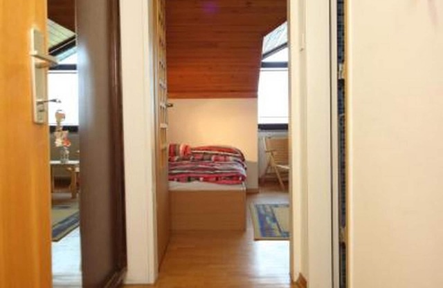 Apartment Viki