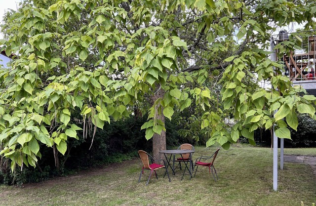 Apartment 'Vindumi' with Shared Garden, Balcony and Wi-Fi