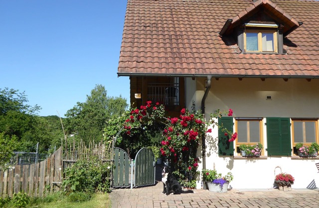 Apartment Waldblick