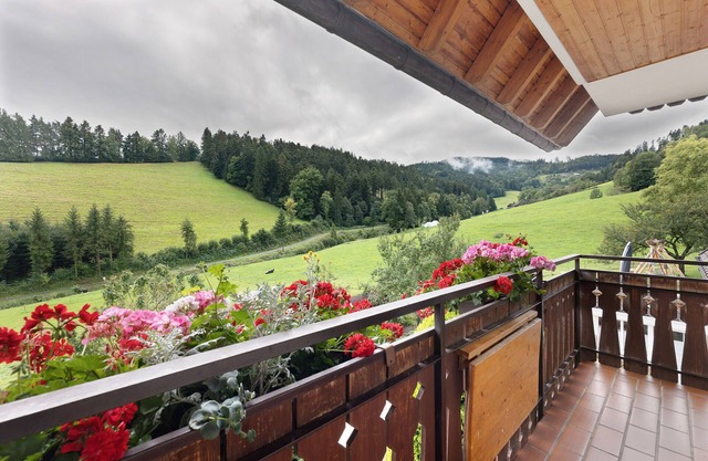 Apartment 'Waldblick' with Mountain View, Shared Garden and Wi-Fi