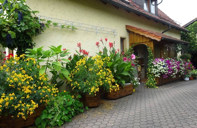 Apartment 'Wassergartenparadies' with Shared Terrace, Shared Garden and Wi-Fi