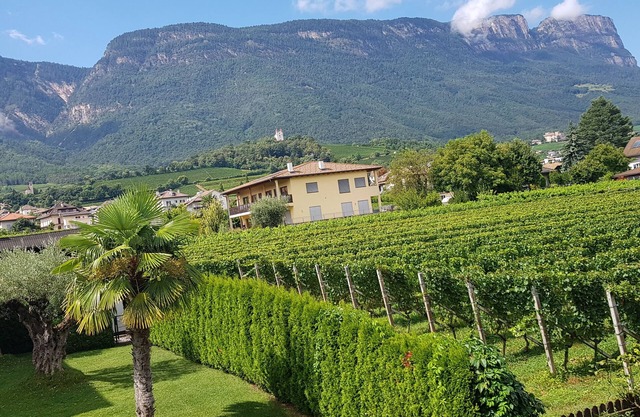 Apartment Weinduft (vine aromic) mountains beautzfull landscape