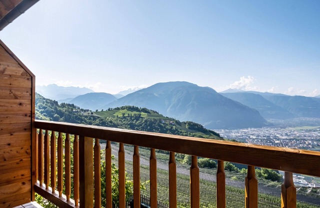 Apartment 'Weingartnerhof Calendula' with mountain view, shared terrace and Wi-Fi