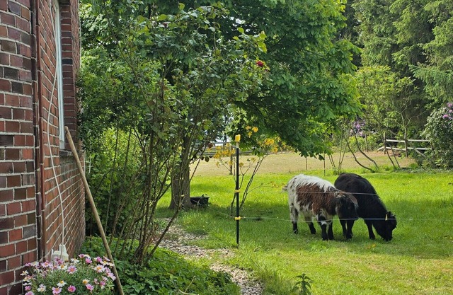 Apartment 'Wiesmoor - Ranch' with Private Terrace, Shared Garden and Wi-Fi