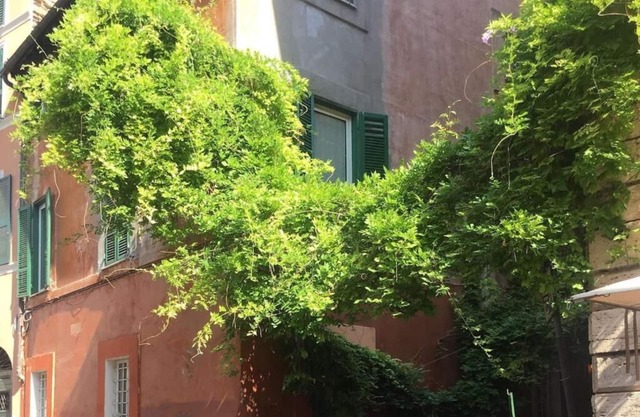 Apartment with 18th-century beams and arches in the most photographed alley in Trastevere