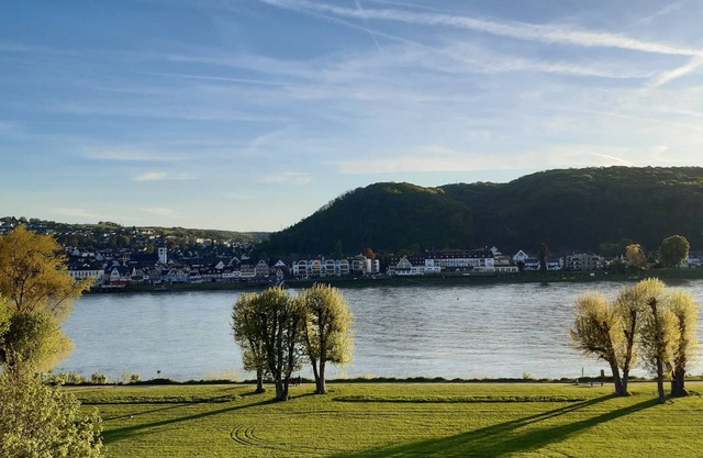 Apartment with a view of the Rhine