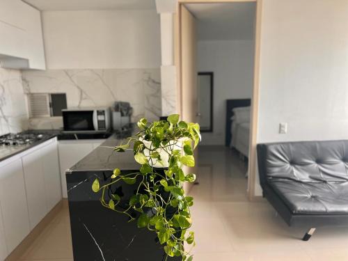 Apartment with a spectacular view