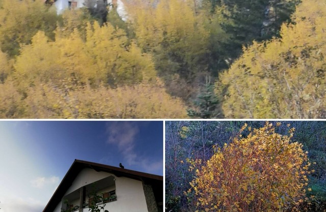Apartment with balcony in villa with park.