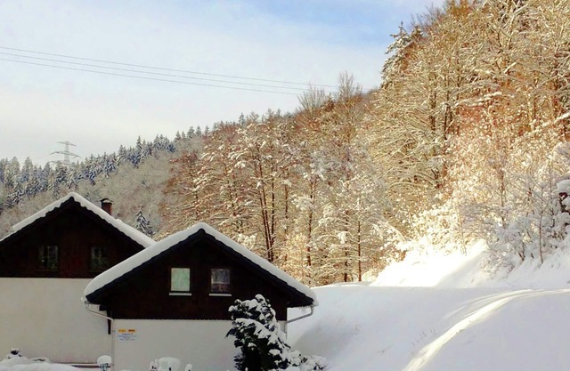 Apartment with forest in Goldisthal Thuringia