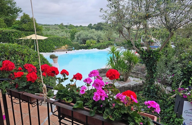 Apartment with garden view