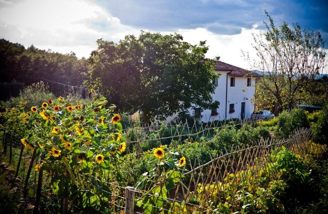 Apartment with privat garden