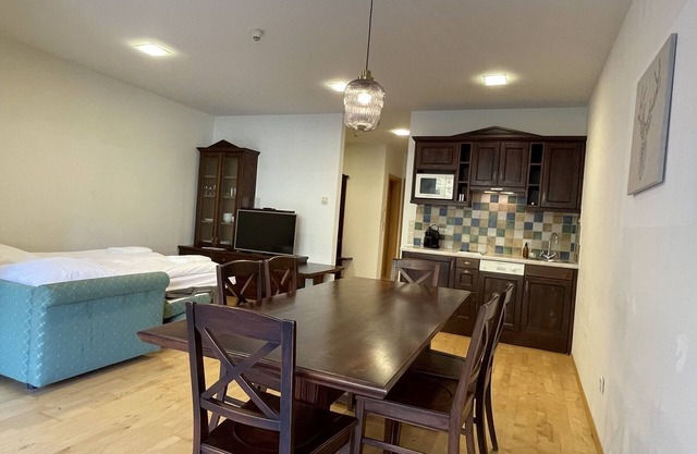 "Apartment with Terrace (ZW 9) at the International House Soelden"